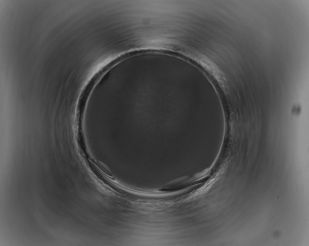 X0000097991077200804021003