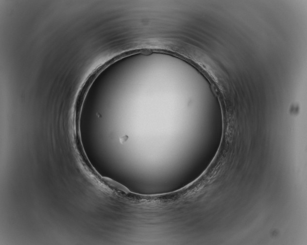X0000097991080200804021003
