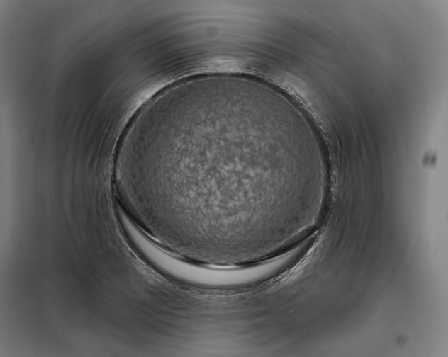 X0000097991081200804021003