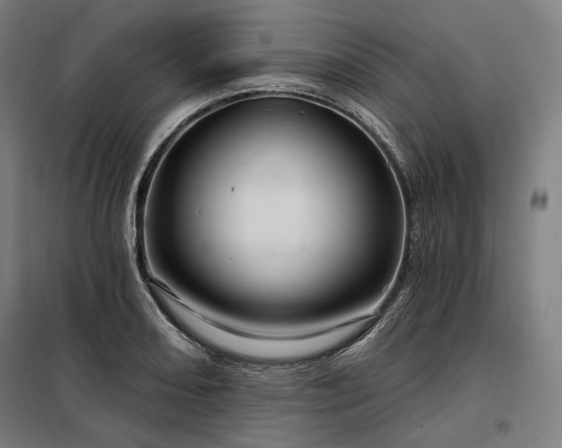 X0000097991082200804021003