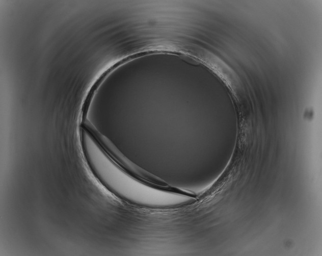X0000097991084200804021003