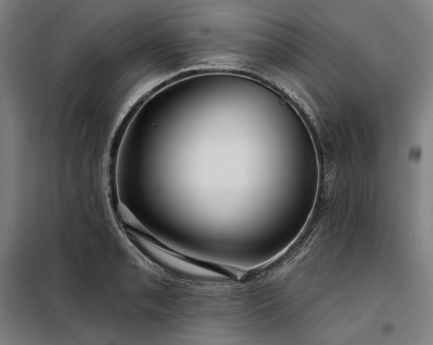 X0000097991085200804021003