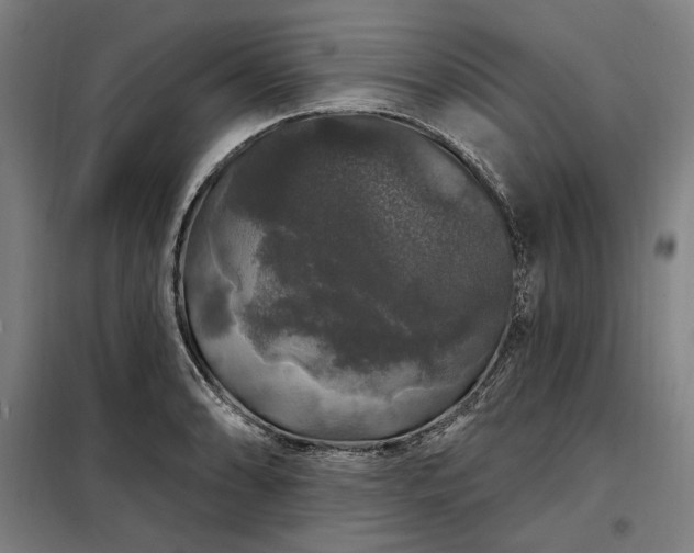 X0000097991086200804021003