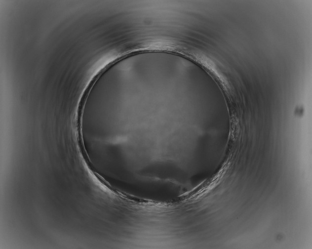 X0000097991087200804021003