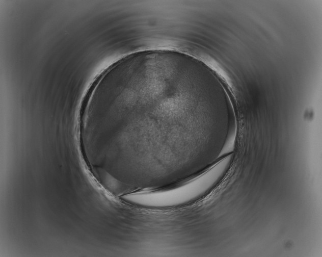 X0000097991088200804021003