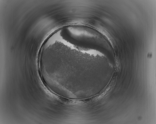 X0000097991090200804021003