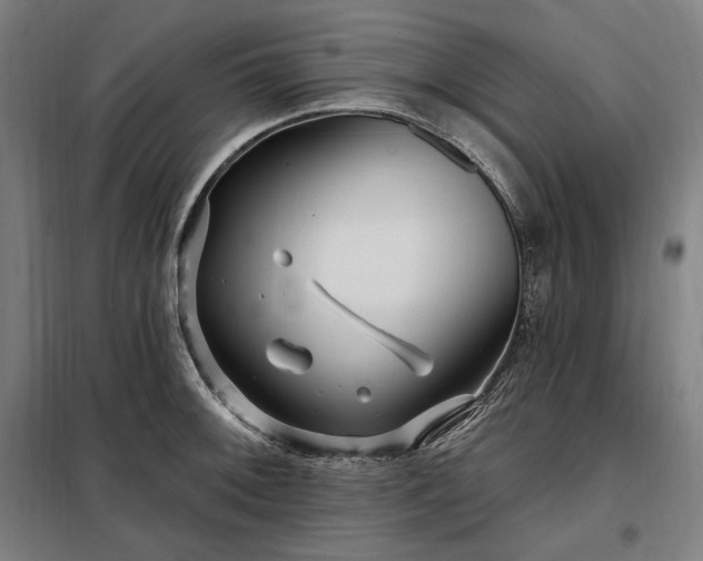 X0000097991092200804021003