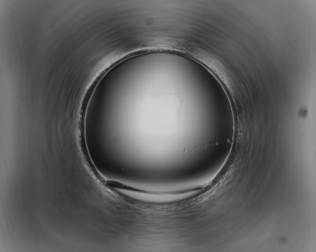 X0000097991093200804021003