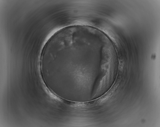 X0000097991094200804021003