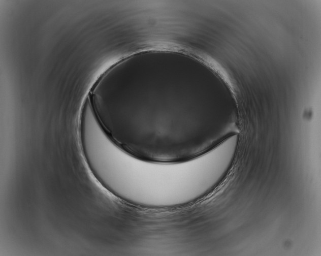 X0000097991095200804021003