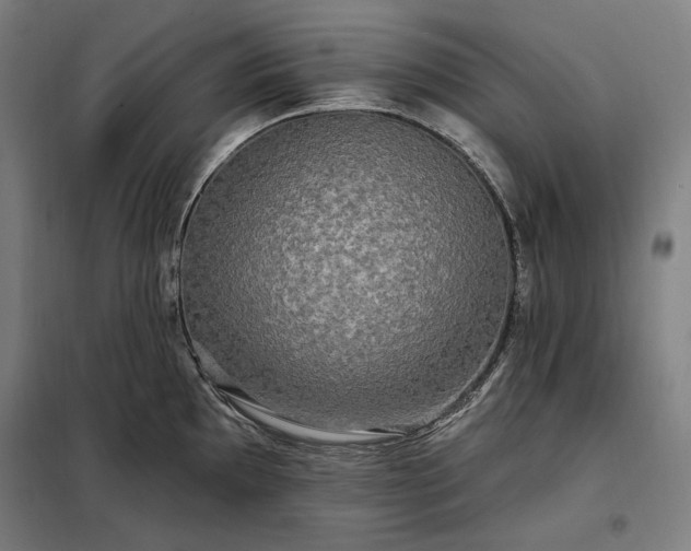X0000097991097200804021003
