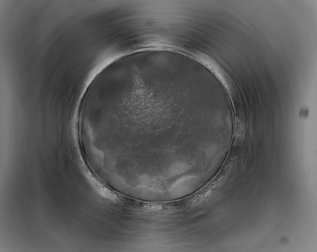 X0000097991098200804021003