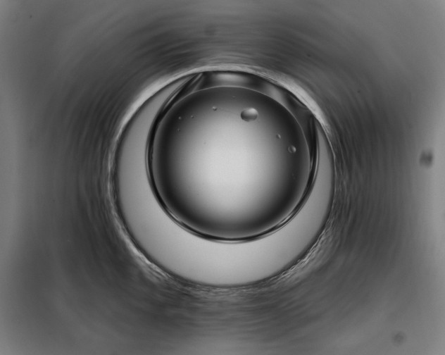 X0000097991101200804021003