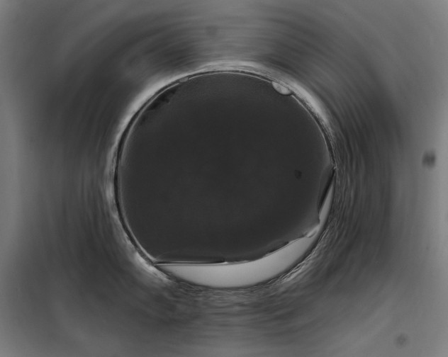 X0000097991102200804021003