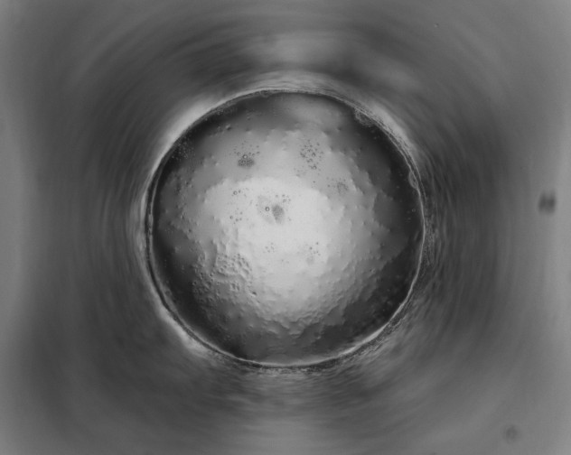 X0000097991103200804021003