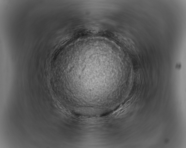 X0000097991105200804021002