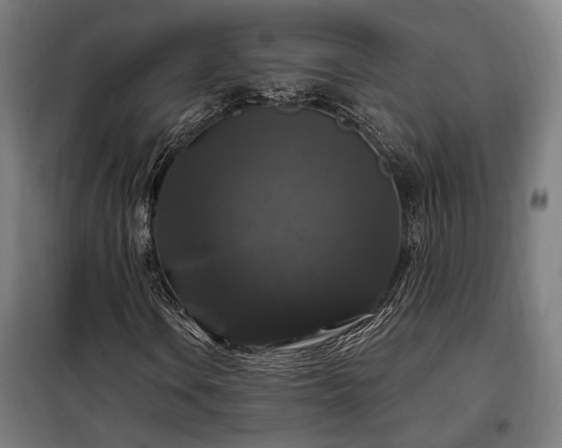 X0000097991106200804021002