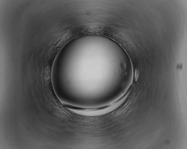 X0000097991107200804021002