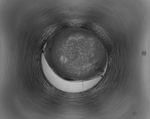 X0000097991108200804021002