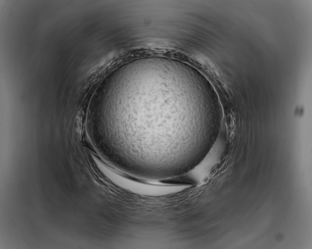 X0000097991110200804021002