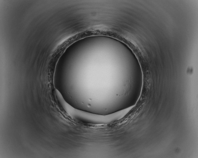 X0000097991112200804021002