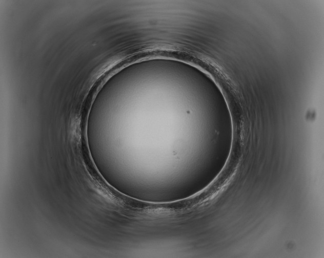 X0000097991113200804021002