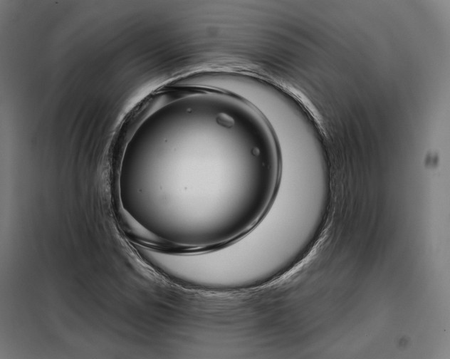 X0000097991114200804021002
