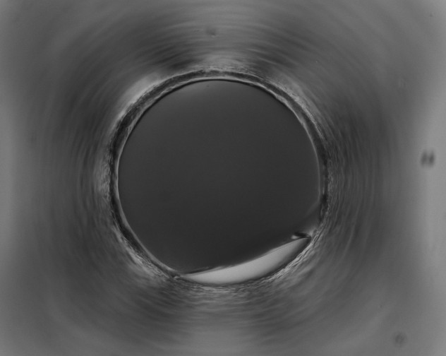 X0000097991115200804021002