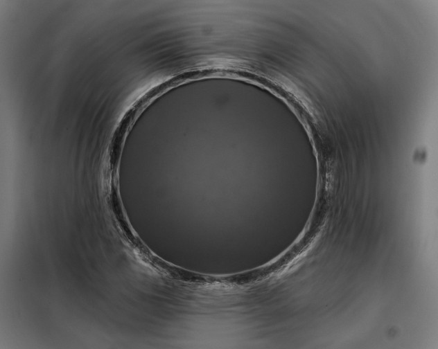 X0000097991117200804021002