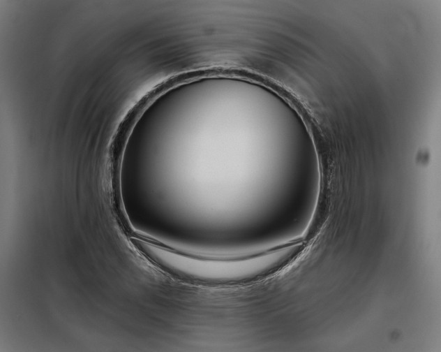 X0000097991118200804021002