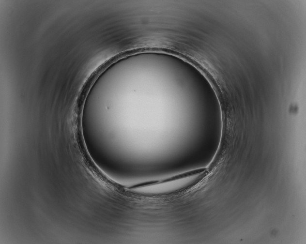 X0000097991119200804021002