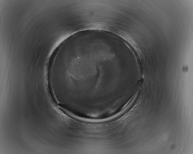 X0000097991120200804021002
