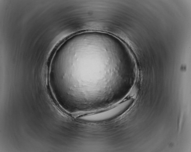 X0000097991123200804021002