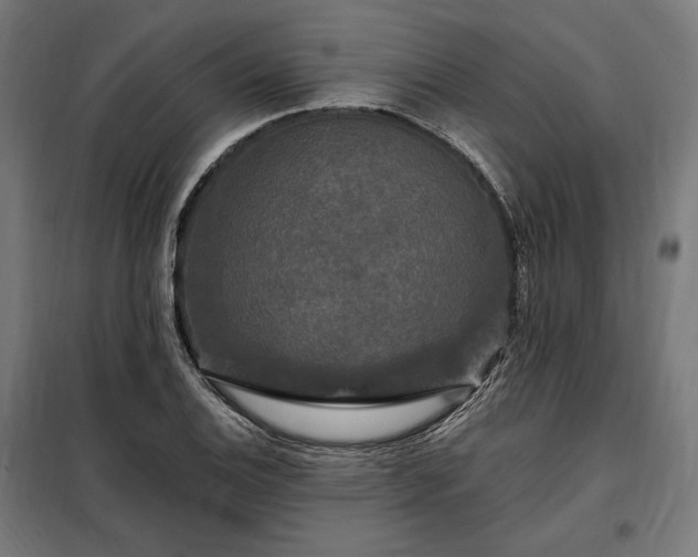 X0000097991124200804021002
