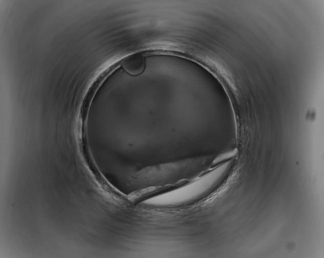 X0000097991125200804021002