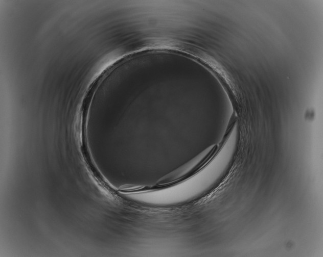 X0000097991127200804021002