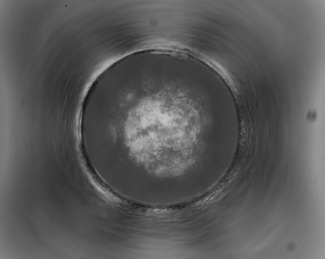 X0000097991128200804021002