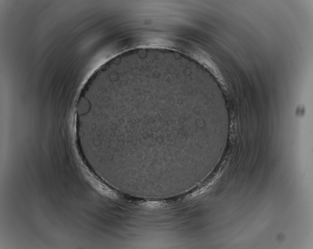 X0000097991130200804021002
