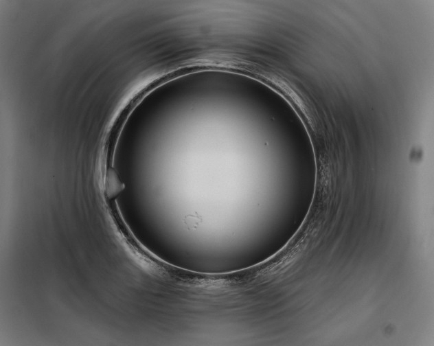 X0000097991131200804021002