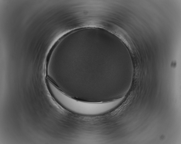 X0000097991132200804021002