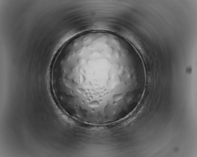 X0000097991133200804021002