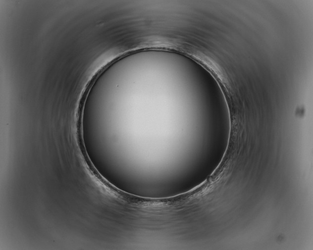X0000097991135200804021002