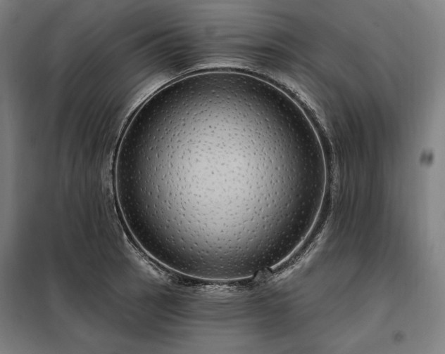 X0000097991137200804021002
