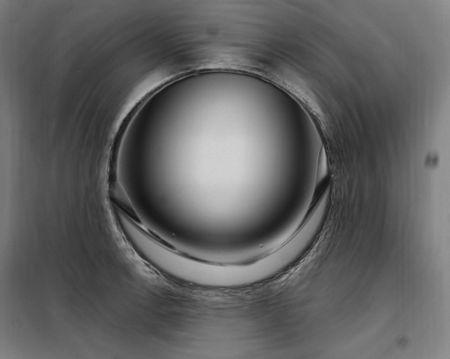 X0000097991138200804021002
