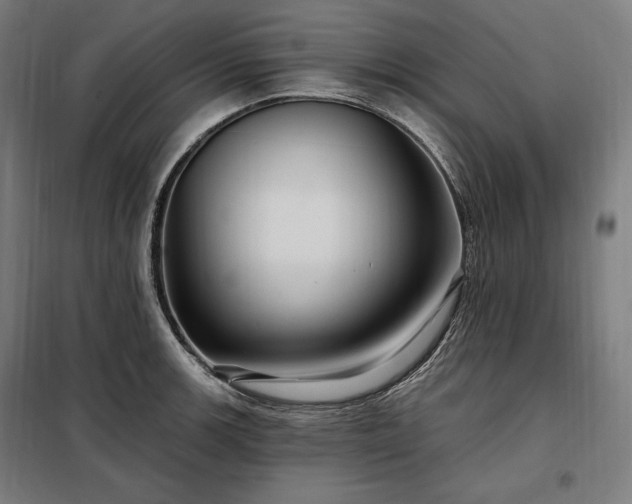 X0000097991139200804021002