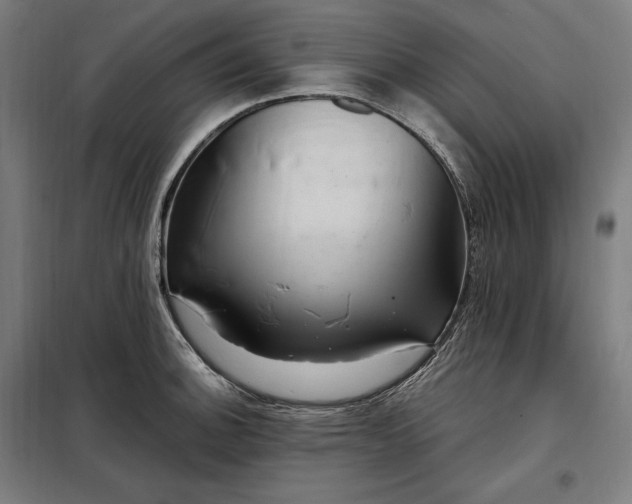 X0000097991140200804021002