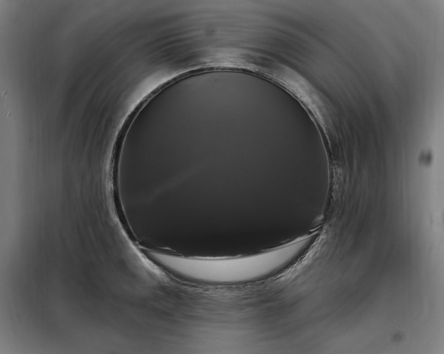 X0000097991141200804021002