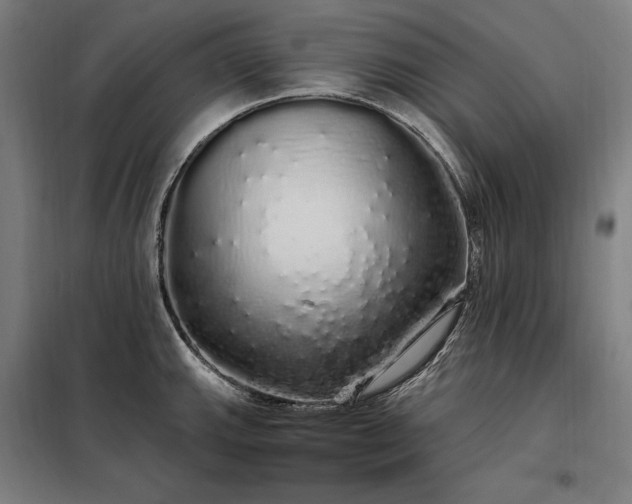X0000097991143200804021002
