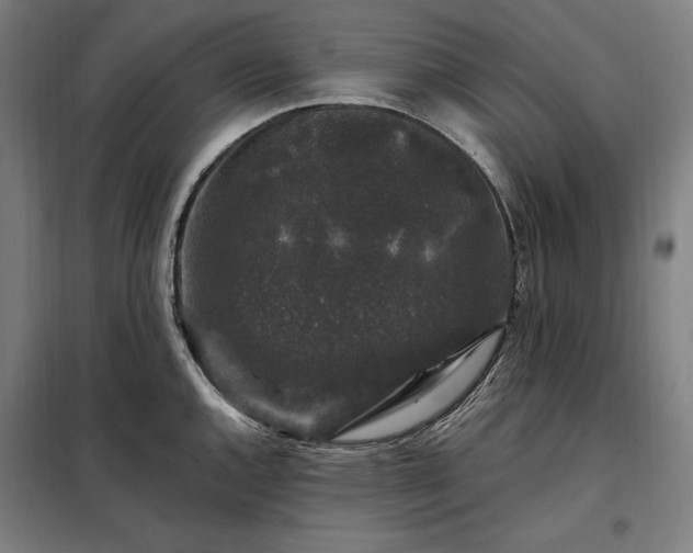 X0000097991144200804021002