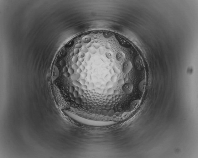 X0000097991145200804021002